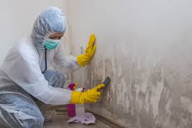 Best Mold Odor Removal Services  in Brownsboro, TX